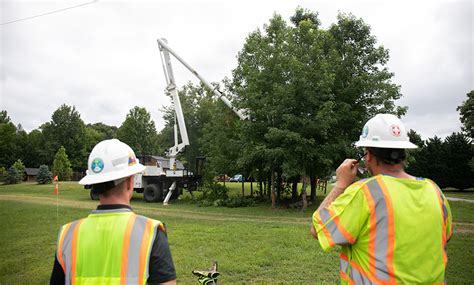 duke energy electric box vegitation|Duke Energy trimming.